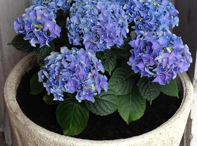 Hotel Nochendi Cangas de Onis